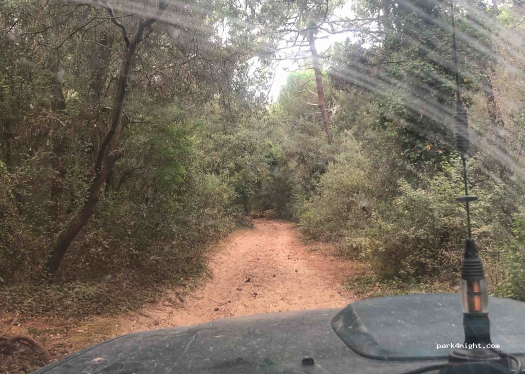 (17630) La Flotte - Unnamed Road — foto