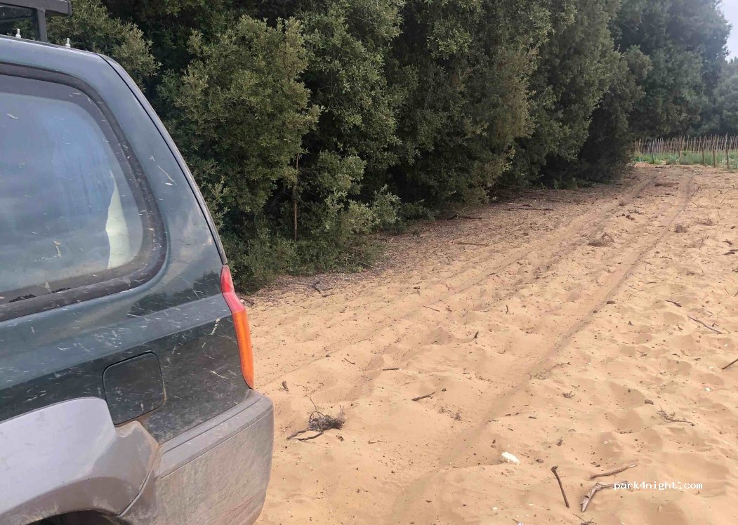 (17630) La Flotte - Unnamed Road — foto 3
