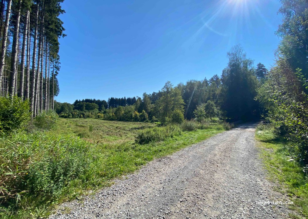 (6890) Paliseul - Route Marie-Thérèse — foto