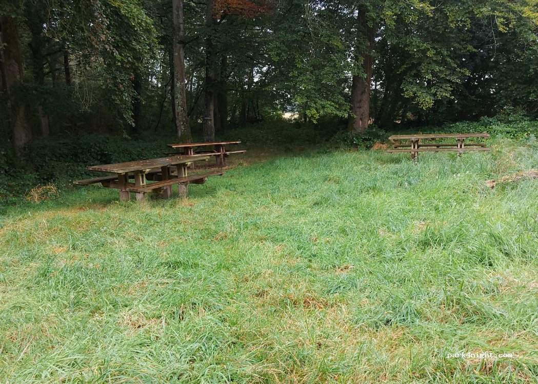 (50680) Cerisy-la-Forêt - Route Forestière du Bois l'Abbé — foto