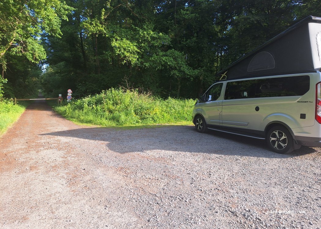(50680) Cerisy-la-Forêt - Route Forestière du Bois l'Abbé — foto 3