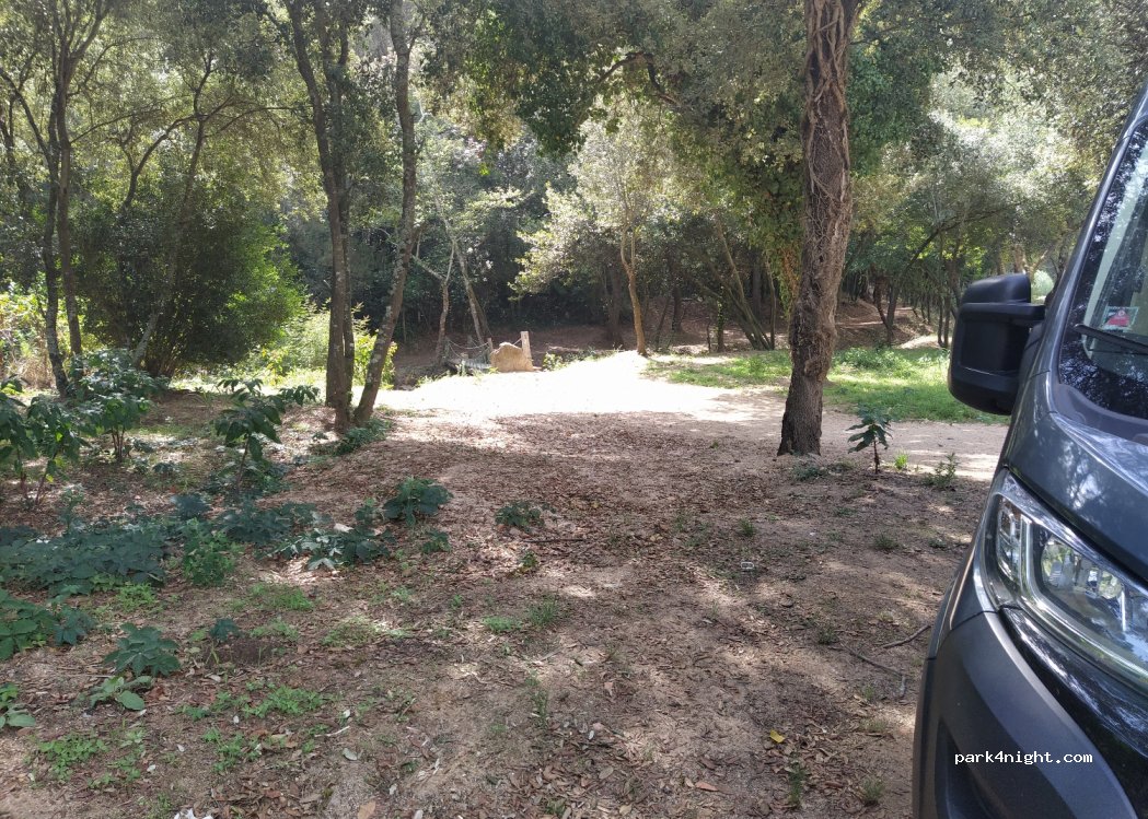(17320) Tossa de Mar - 39 Diseminado Afores — foto