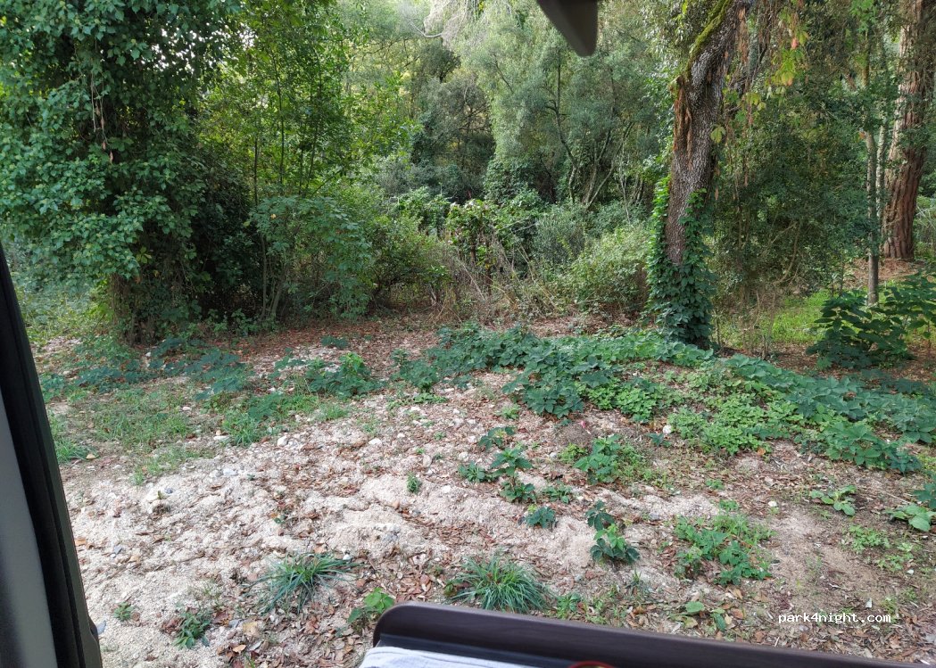 (17320) Tossa de Mar - 39 Diseminado Afores — foto 3