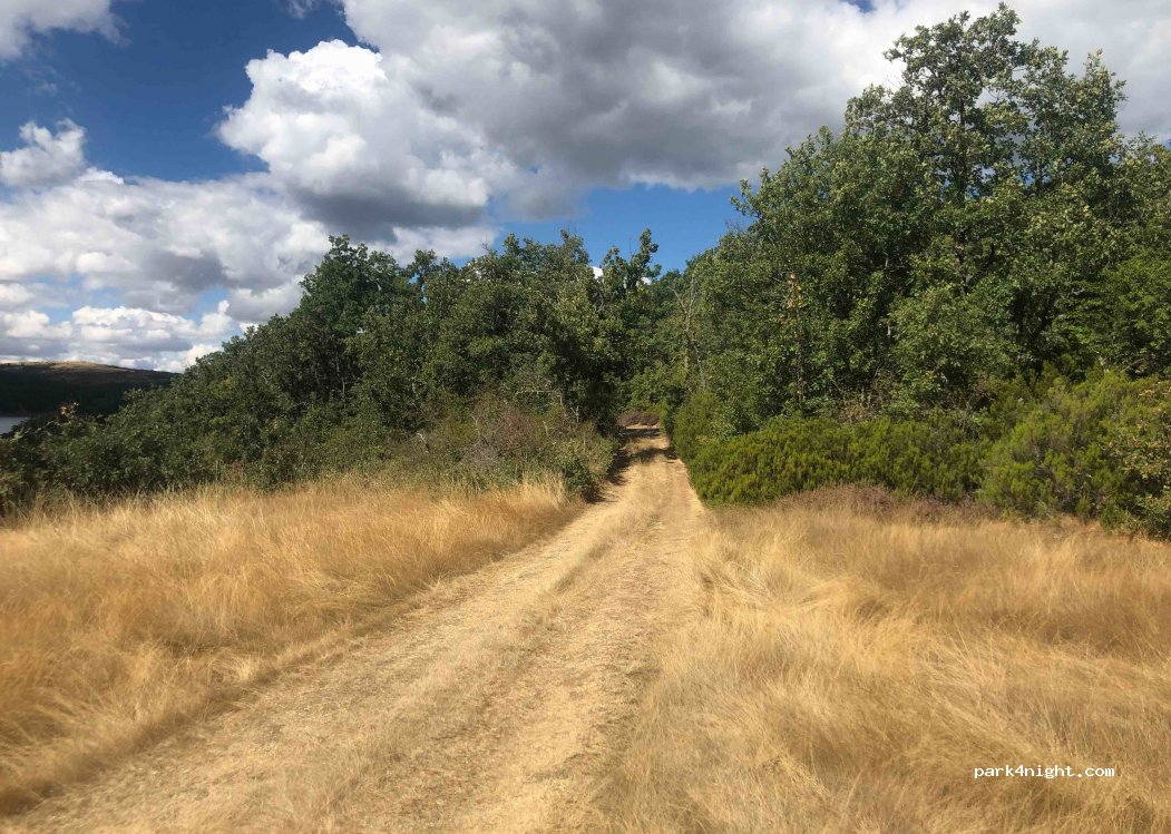 (09199) Pineda de la Sierra - BU-820 — foto 3