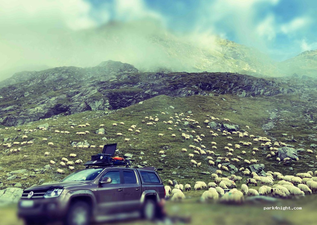 (117040) Cârțișoara - Transfăgărășan — foto 2