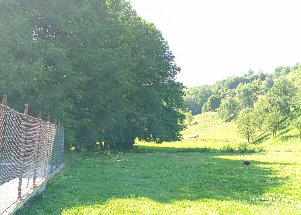 Eco Camp Dzogaska Vrela — foto