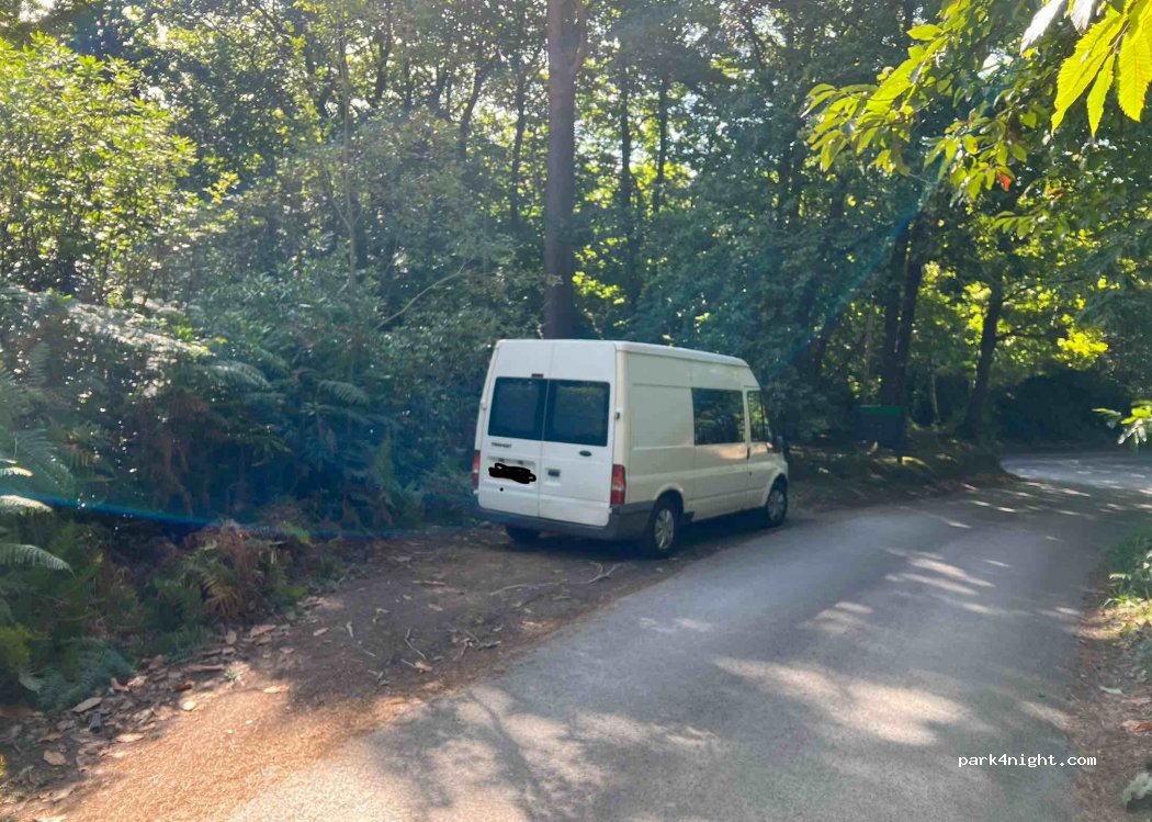 (TN17 4AN) Benenden - Hemsted Forest — foto