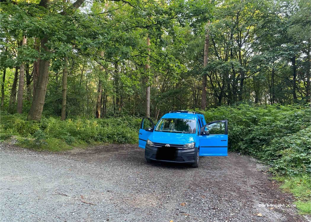 (TN17 4AN) Benenden - Hemsted Forest — foto 2