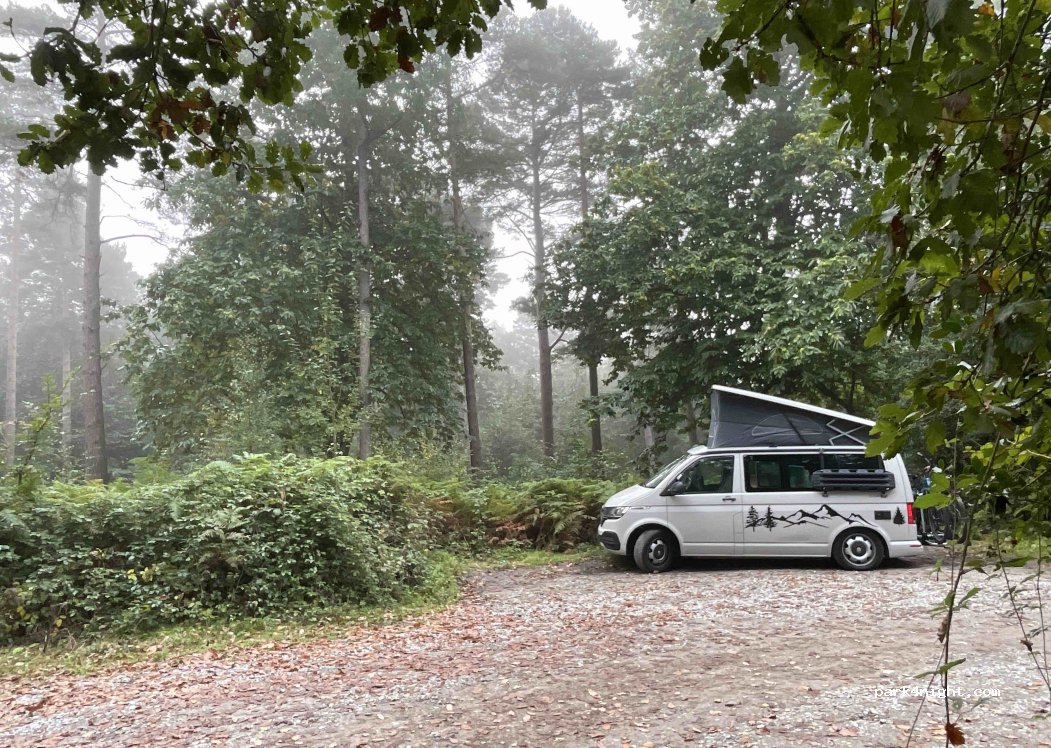 (TN17 4AN) Benenden - Hemsted Forest — foto 3