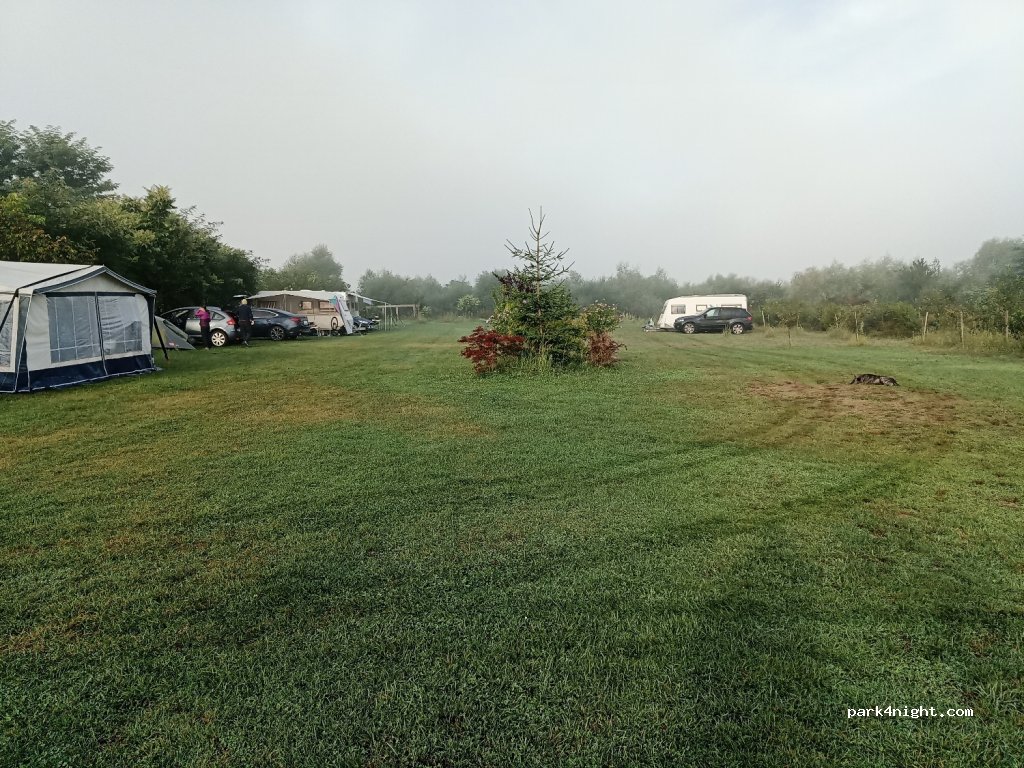 Camping de Oude Wilg — foto 2