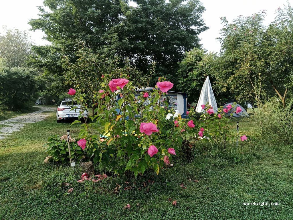 Camping de Oude Wilg — foto 3