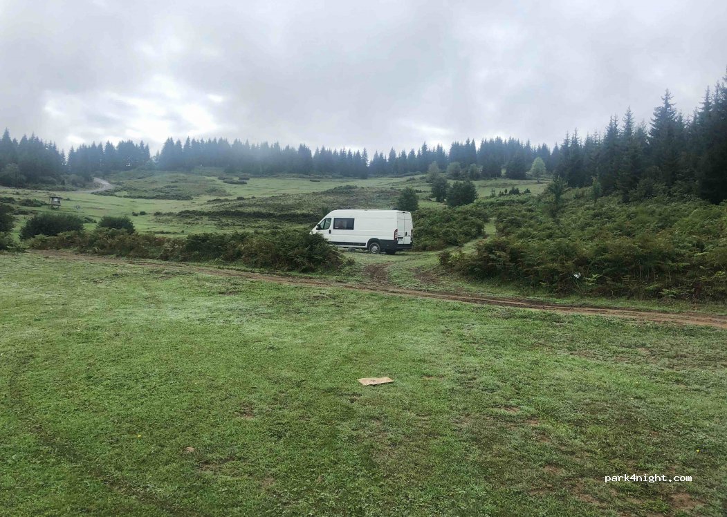 (6300) Baratauli - Chvana gomarduli — foto 2