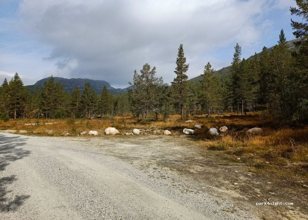 (4755)  - 6 Badstogdalen Hyttegrend — foto