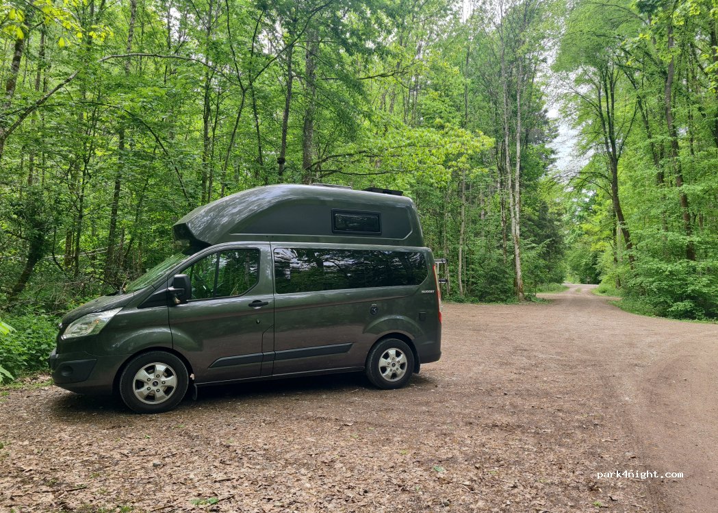 (85661) Anzinger Forst - Anger Geräumt — foto 2