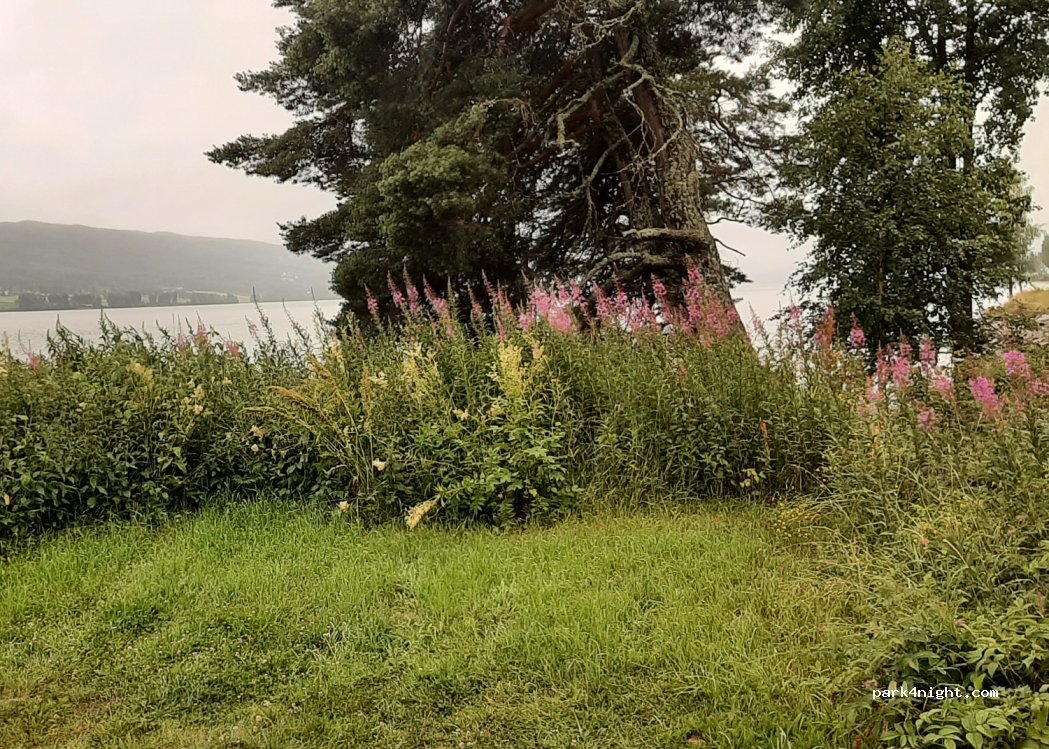 () Kleivodden - — foto 4