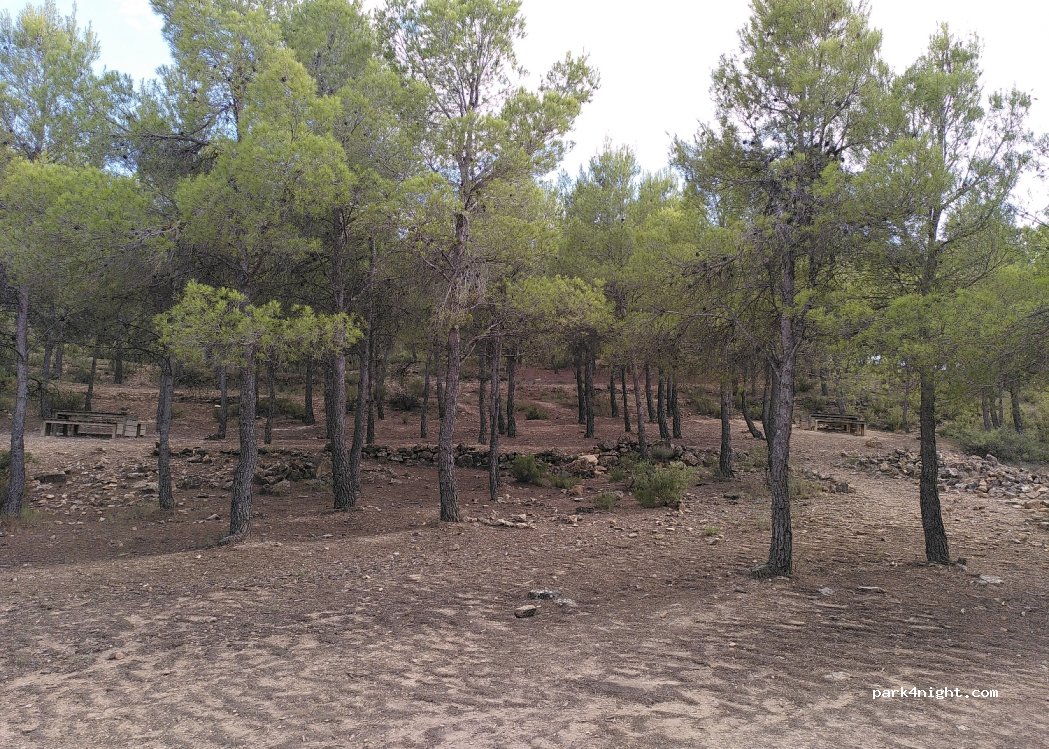 (02640) Almansa - Unnamed Road — foto 4