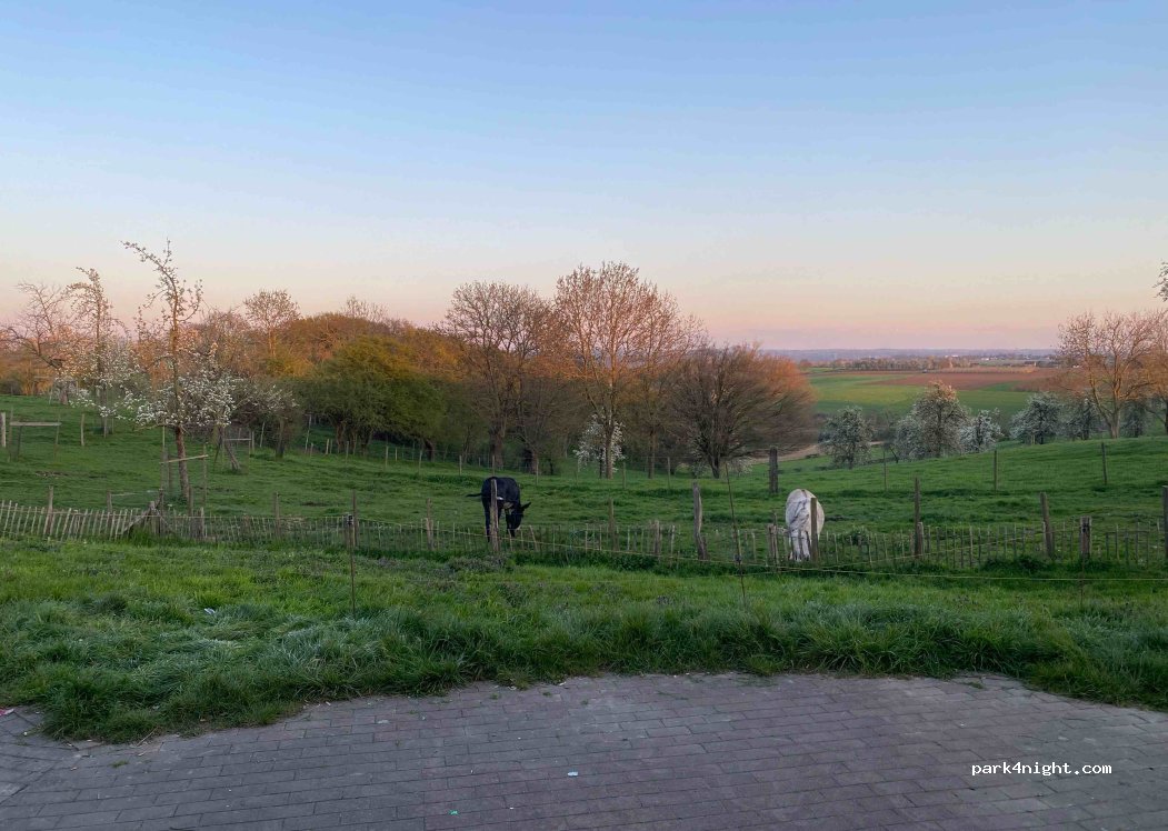 (4684) Oupeye - 4 Rue Haute Froidmont — foto 4