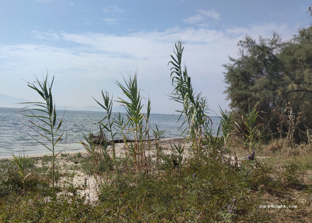 (470 40) Nikoláou Skoufá - Ethniki Odos Agriniou Artas — foto 2