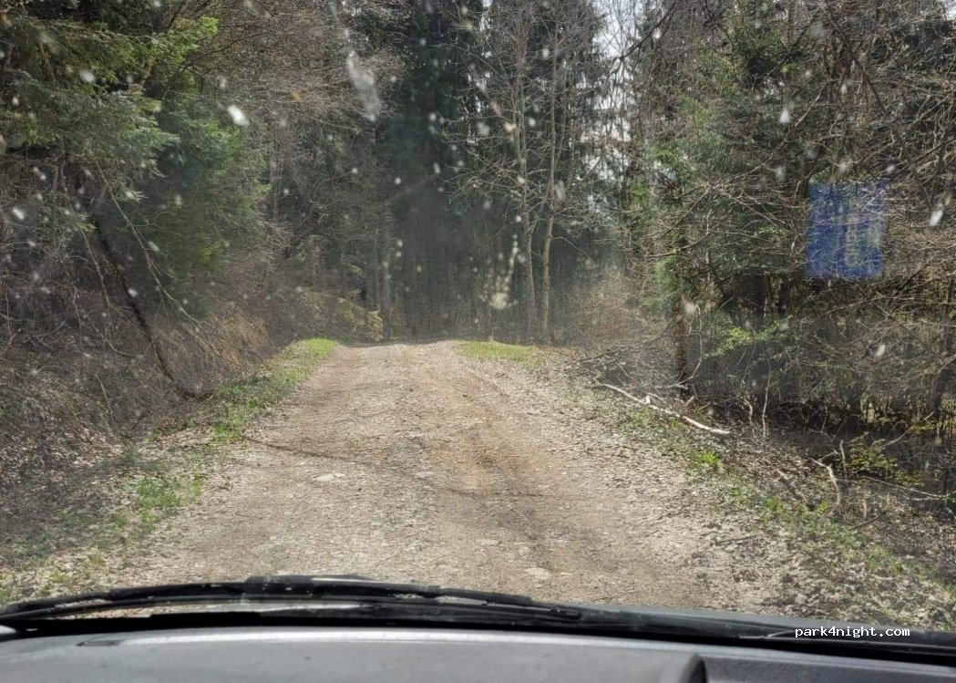 (74410) Saint-Eustache - Route Forestière de la Cochette et de la Blondé — foto 3