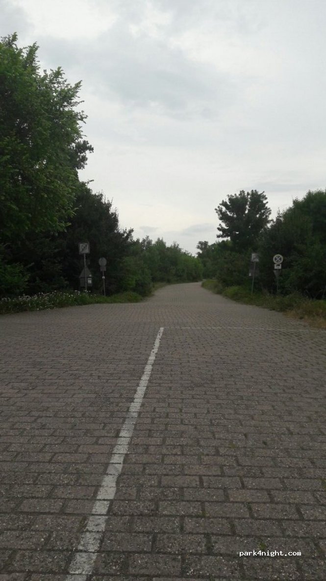 (65462) Ginsheim-Gustavsburg - Unnamed Road — foto