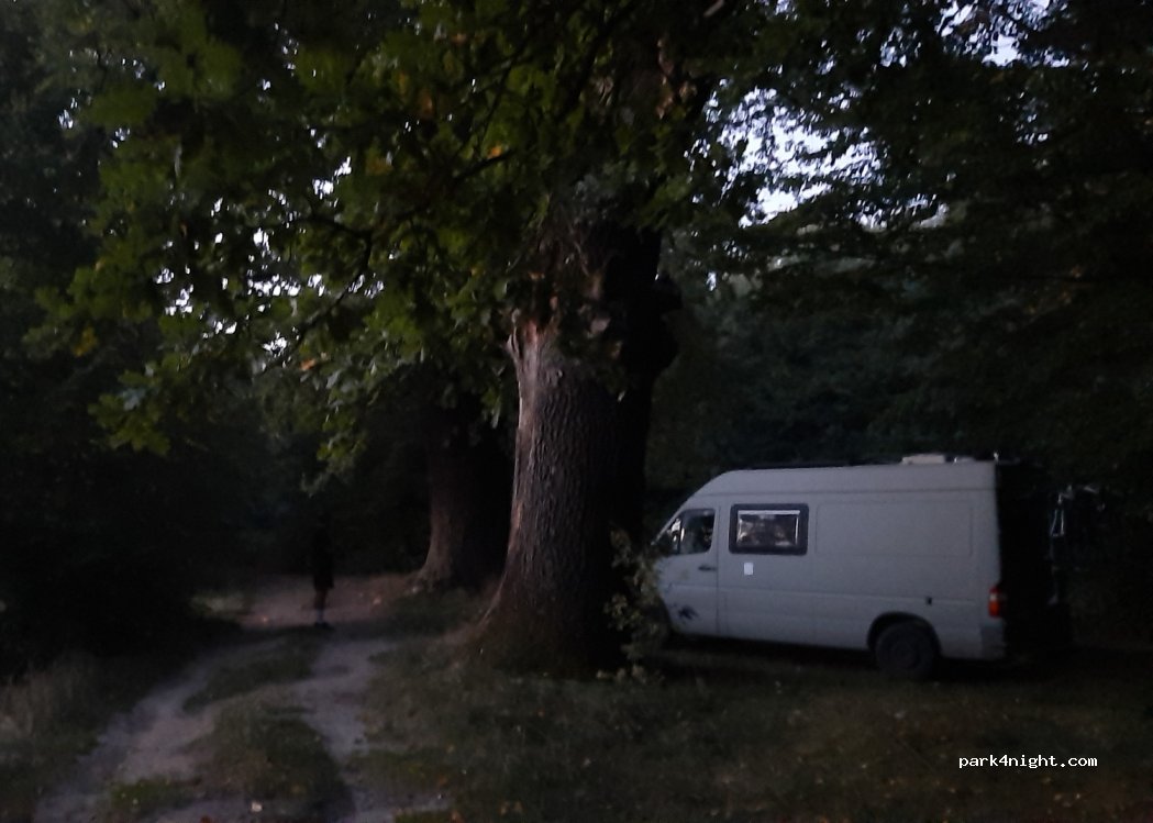 (46-034) Zieleniec - — foto 2