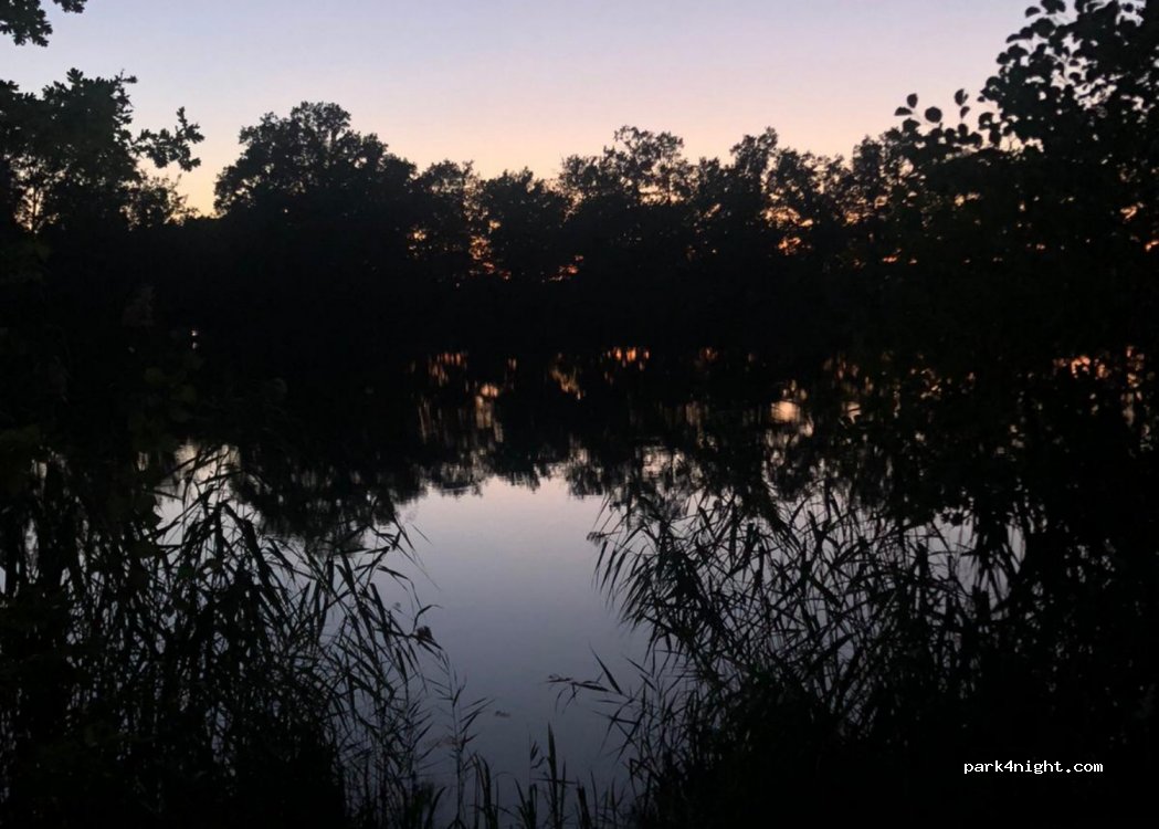 (46-034) Zieleniec - — foto 3
