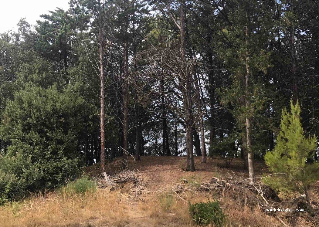 (56048) Volterra - Strada Vicinale di Spicchiaiola — foto