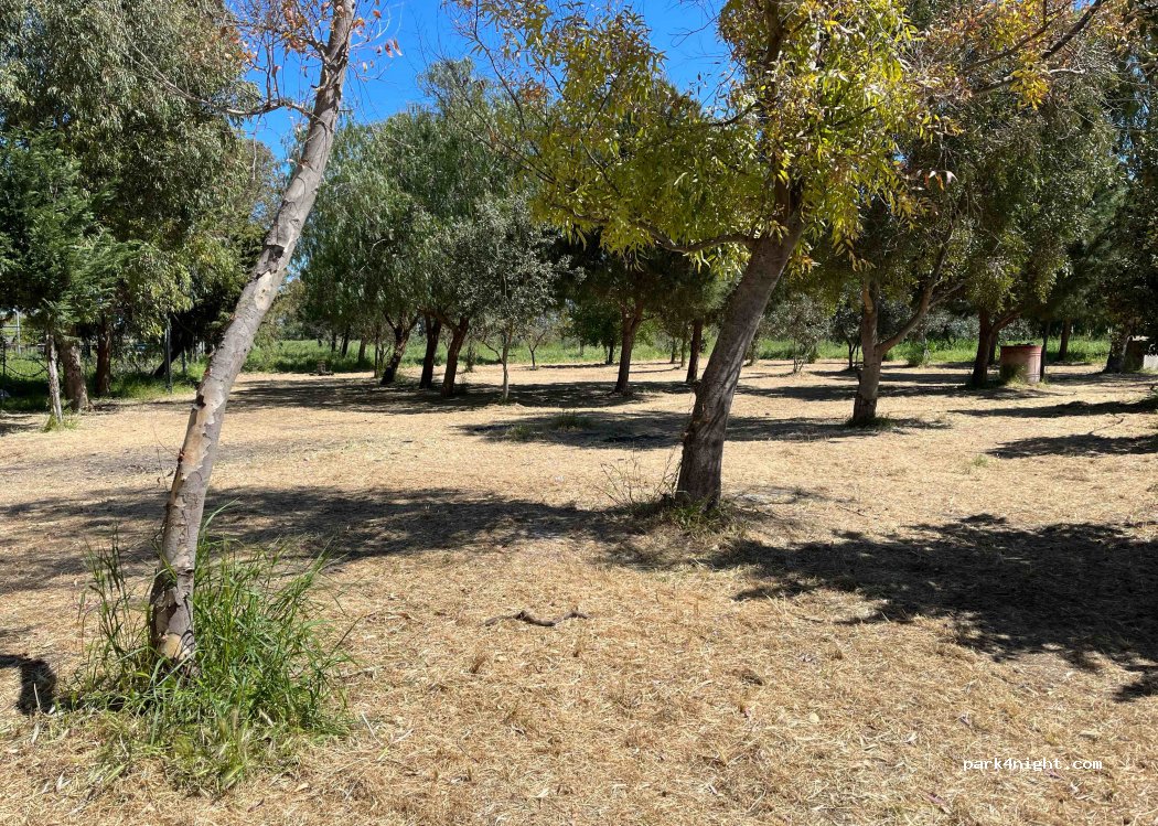 Agriturismo Oasi — foto