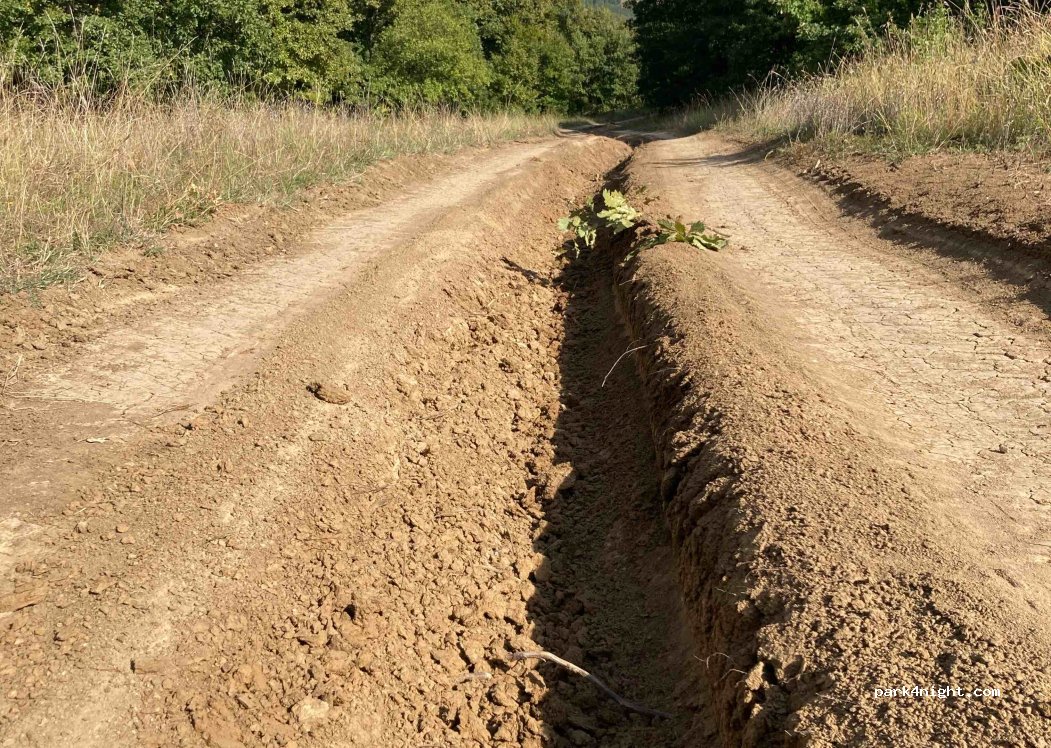 (335450) Geoagiu-Bai - Unnamed Road — foto 2