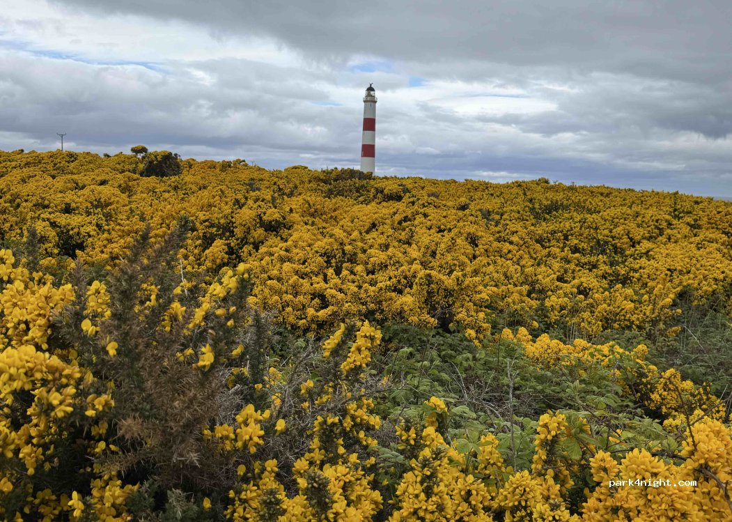 (IV20 1RD) Tain - Unnamed Road — foto 5