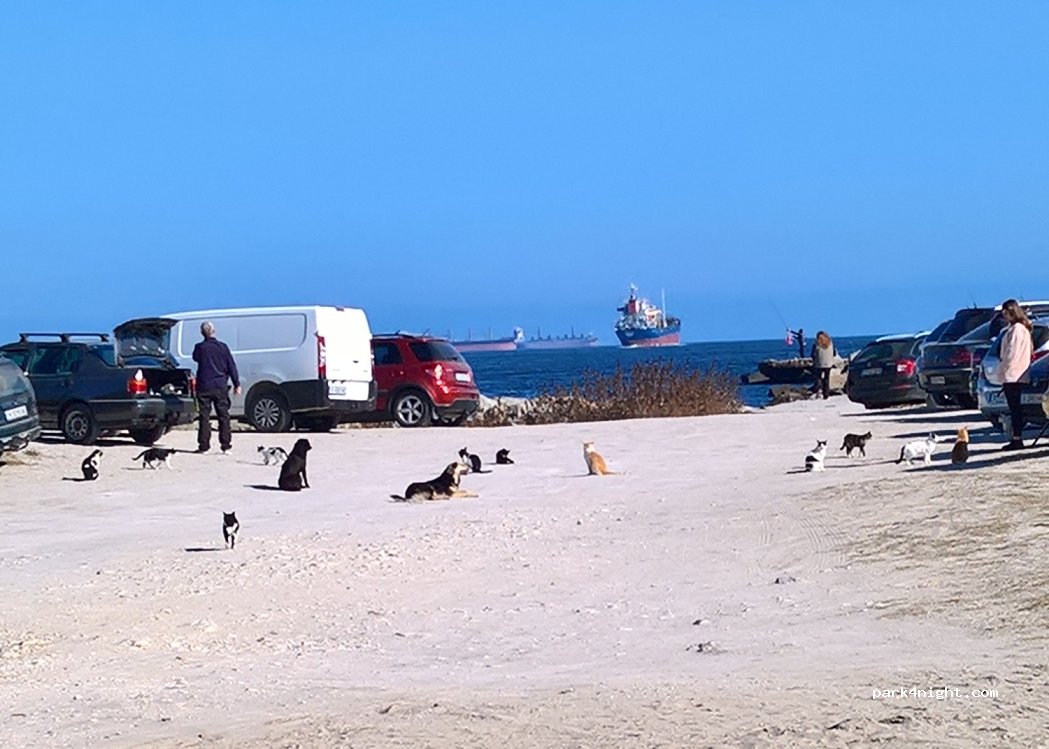 (9003) Varna - Unnamed Road — foto 5