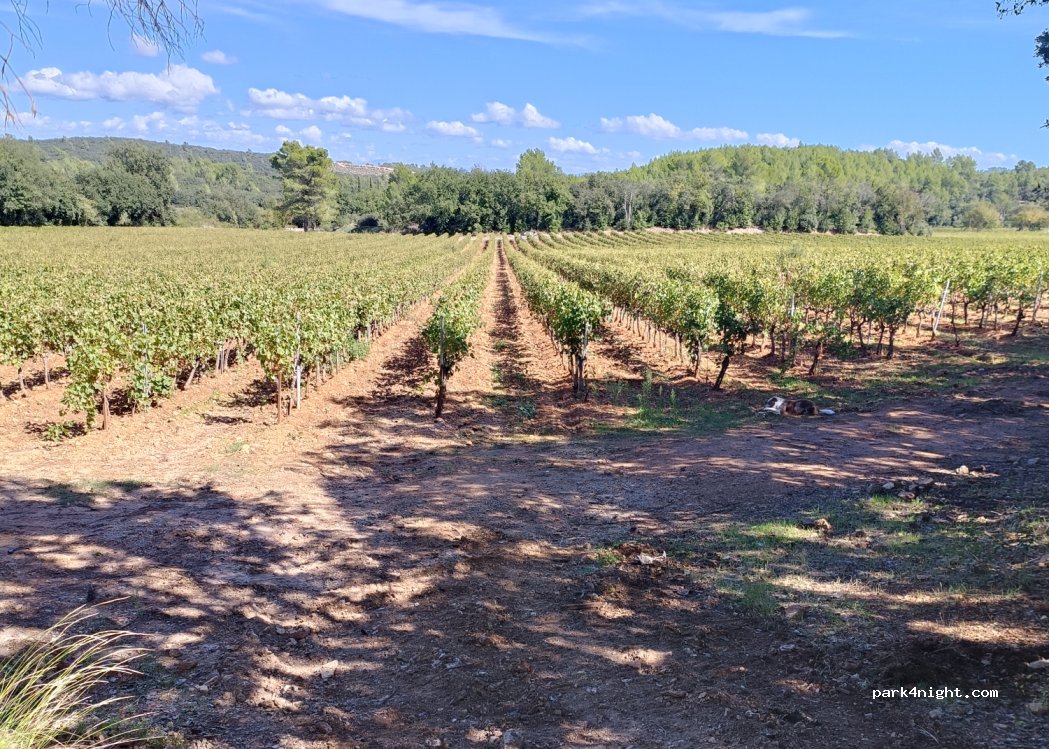 (83340) Le Cannet-des-Maures - Piste des 3 Puits — foto 4
