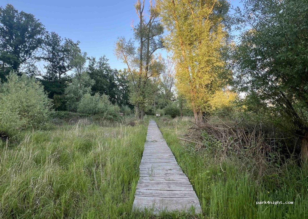 () Jizbice - Unnamed Road — foto 4
