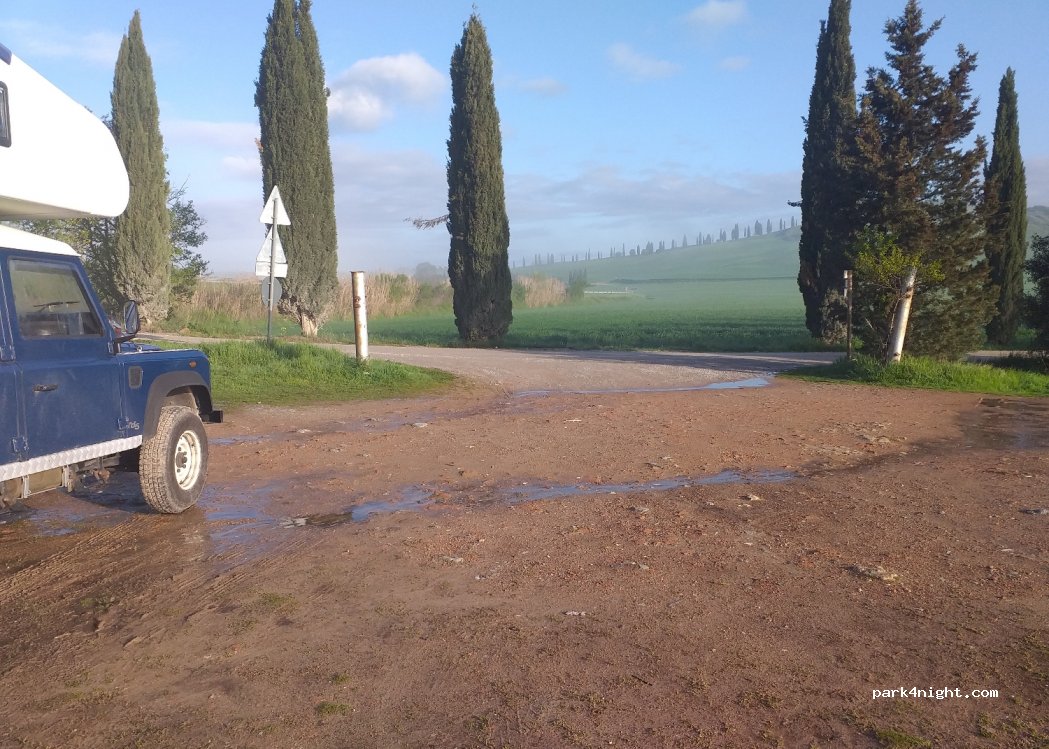 (53041) Asciano - — foto