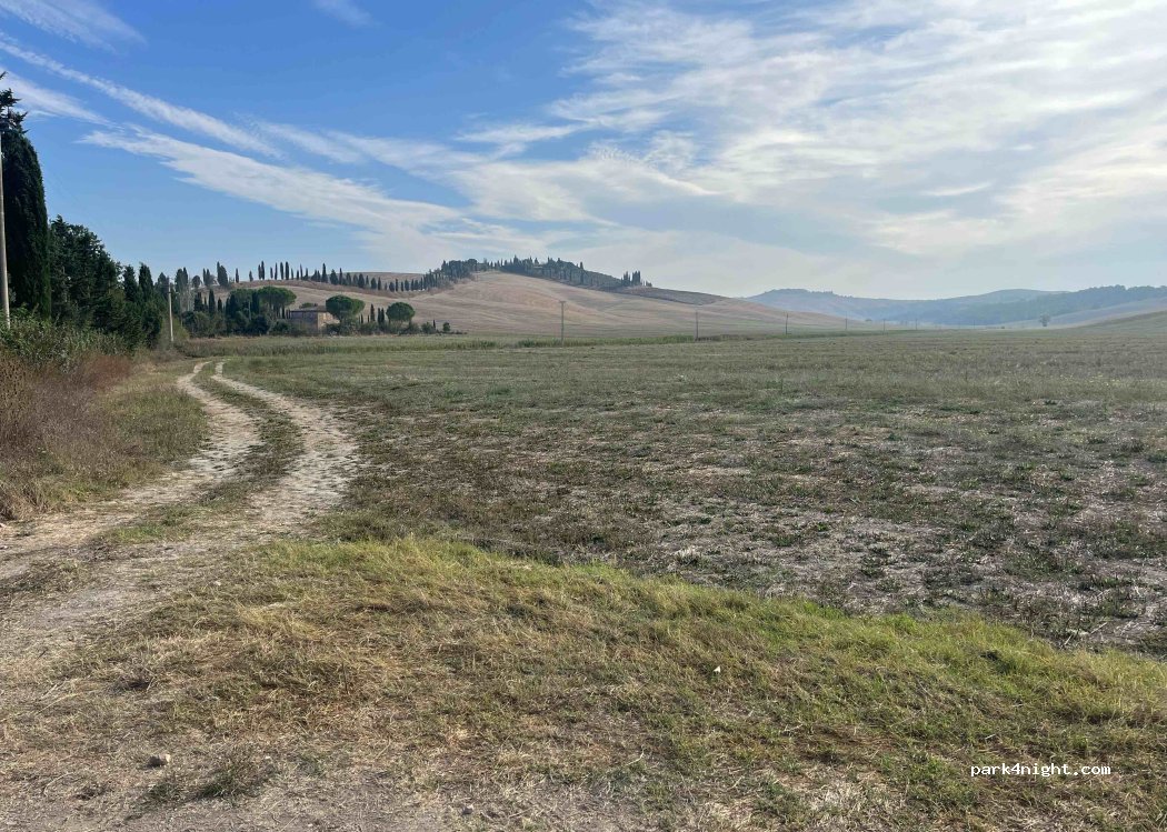 (53041) Asciano - — foto 3