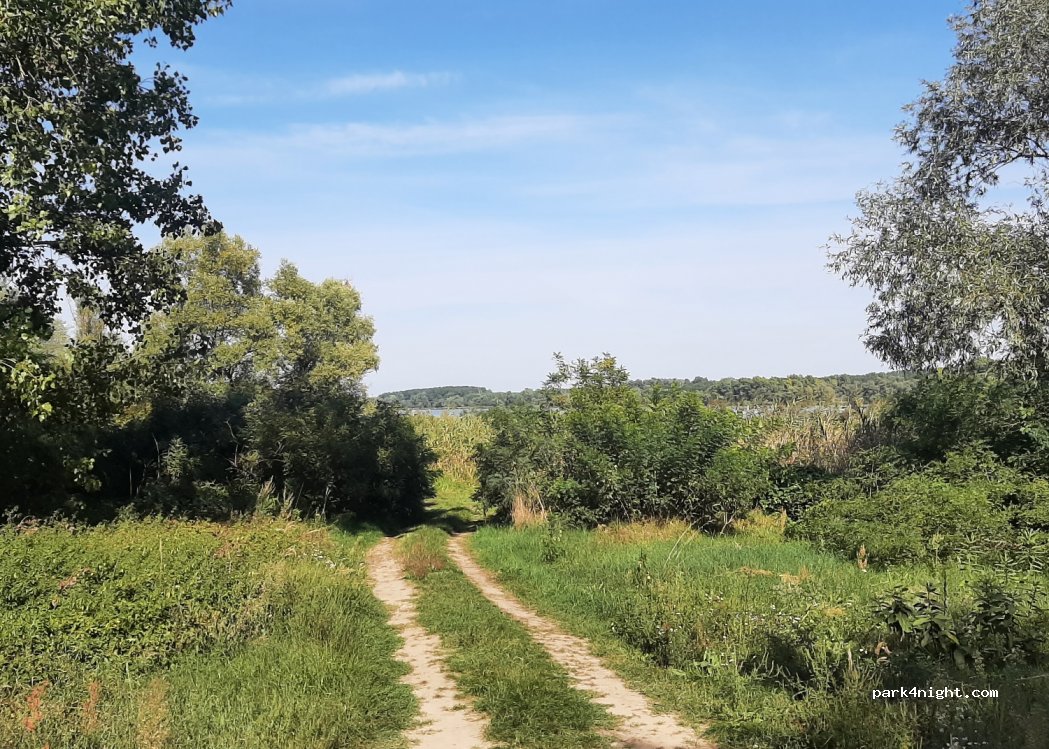 (4496) Szabolcsveresmart - Unnamed Road — foto