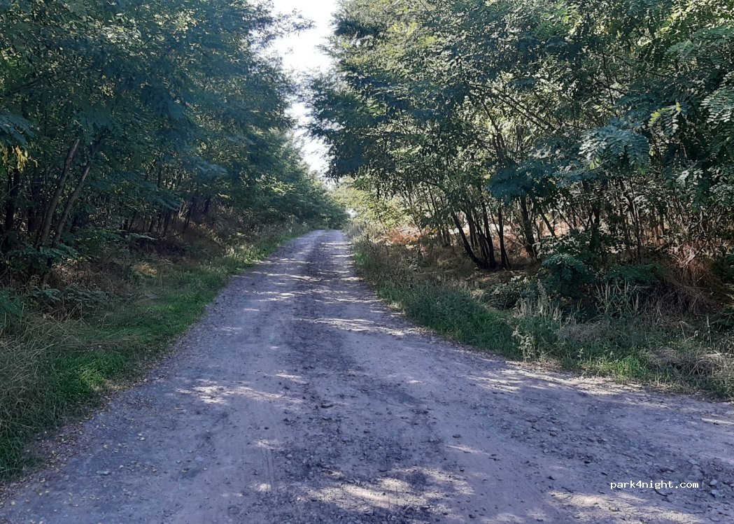 (4496) Szabolcsveresmart - Unnamed Road — foto 2