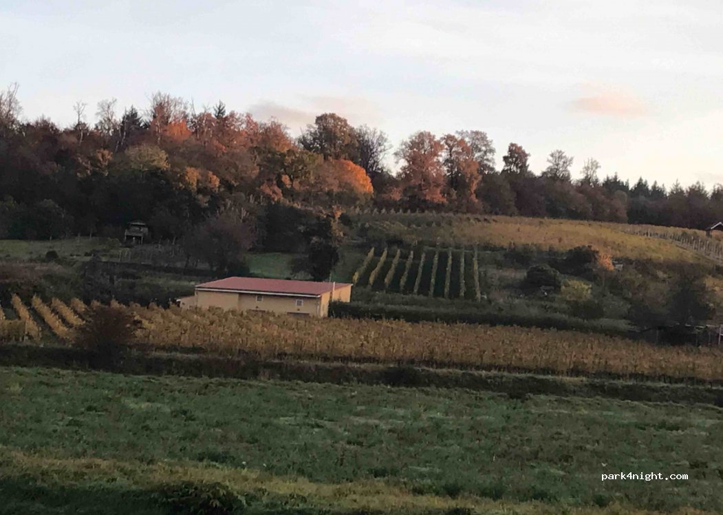 (76356) Weingarten (Baden) - Steigweg — foto 2