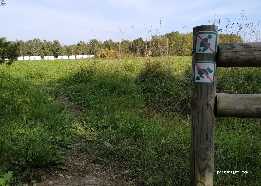 (91205) Saare / Lyckholm - — foto 3