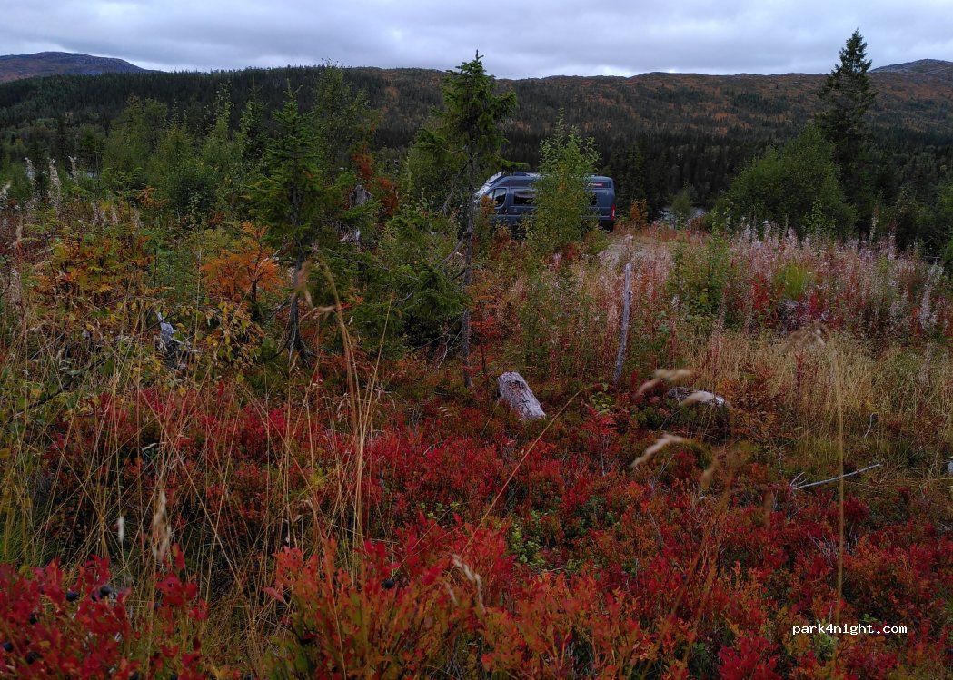 (7890) Namsskogan - 75 Børgefjellveien — foto