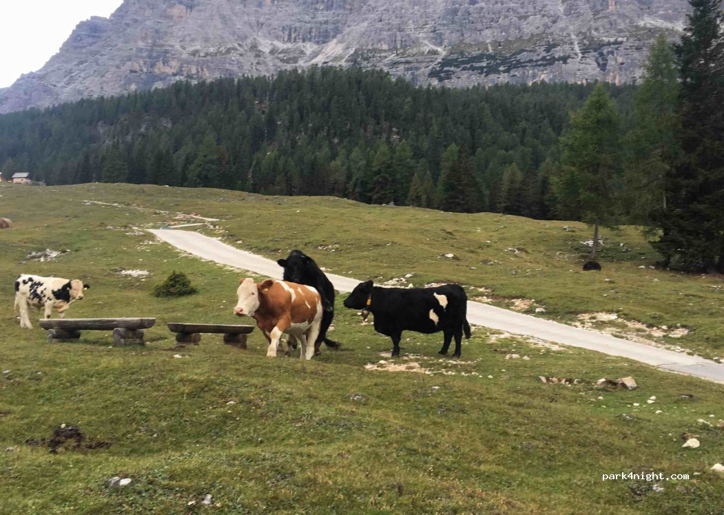 (32043) Cortina d'Ampezzo - Località Campo di Sotto — foto 2