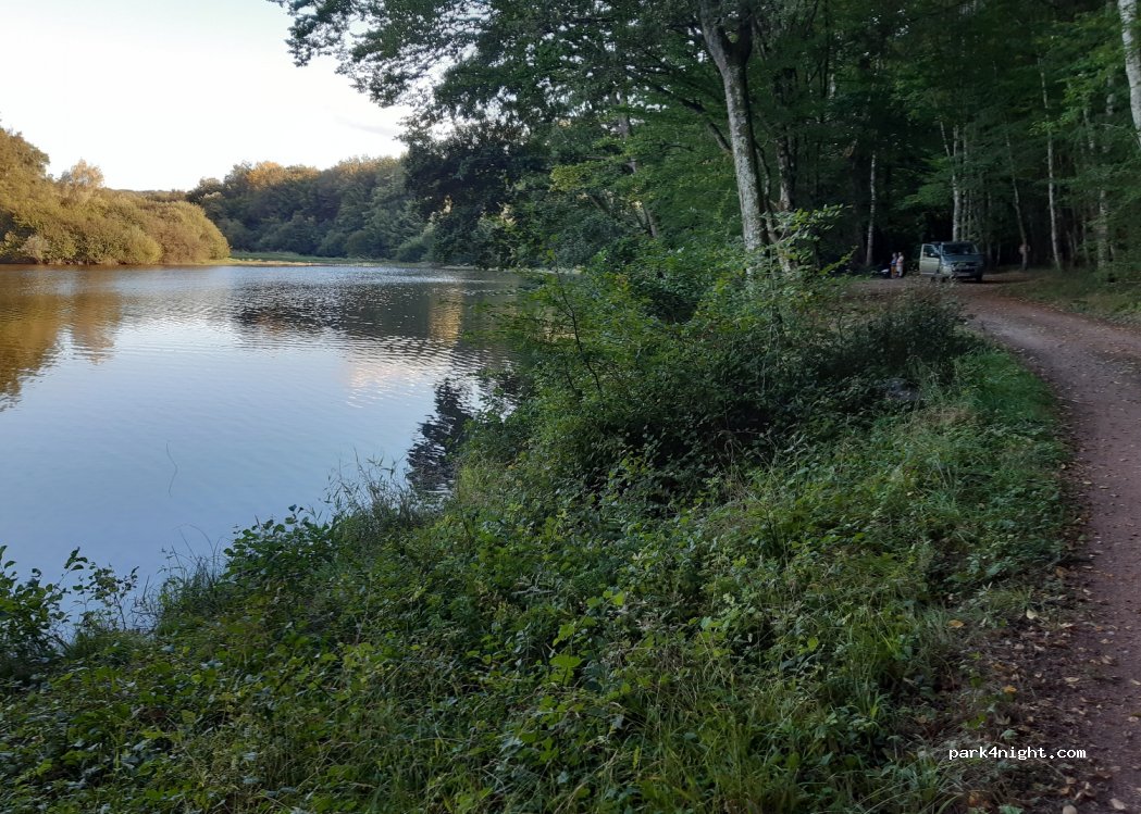 (03360) Saint-Bonnet-Tronçais - Allée du Bois Brochet — foto 2