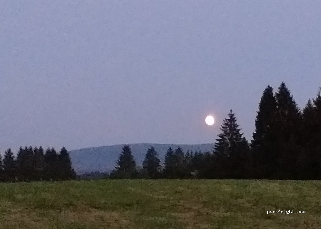 (38707) Schulenberg im Oberharz - 17 Tannenhöhe — foto