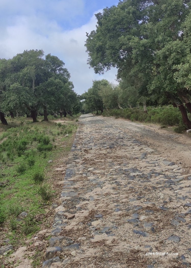 (07020) Nuoro - Strada Statale 389 di Buddusò e del Correboi — foto 4