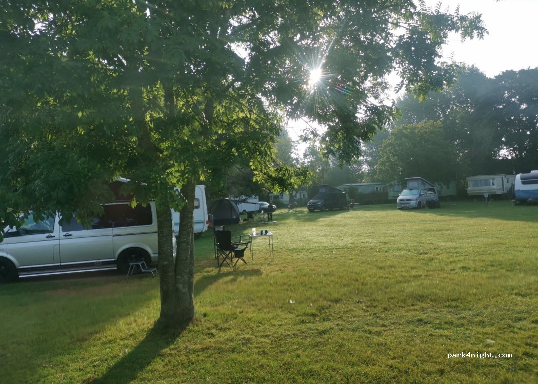 Island Meadow — foto