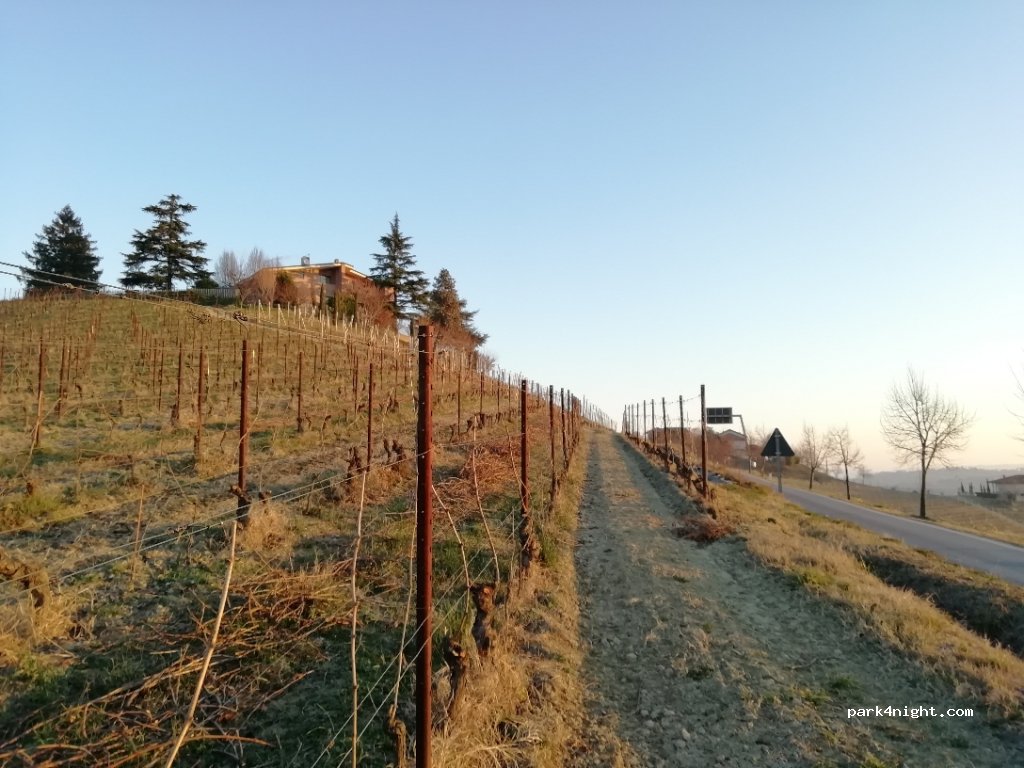(12050) Barbaresco - Strada Provinciale 3 — foto 3