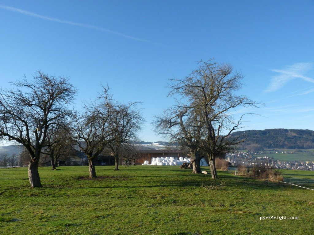 Trolerhof — foto