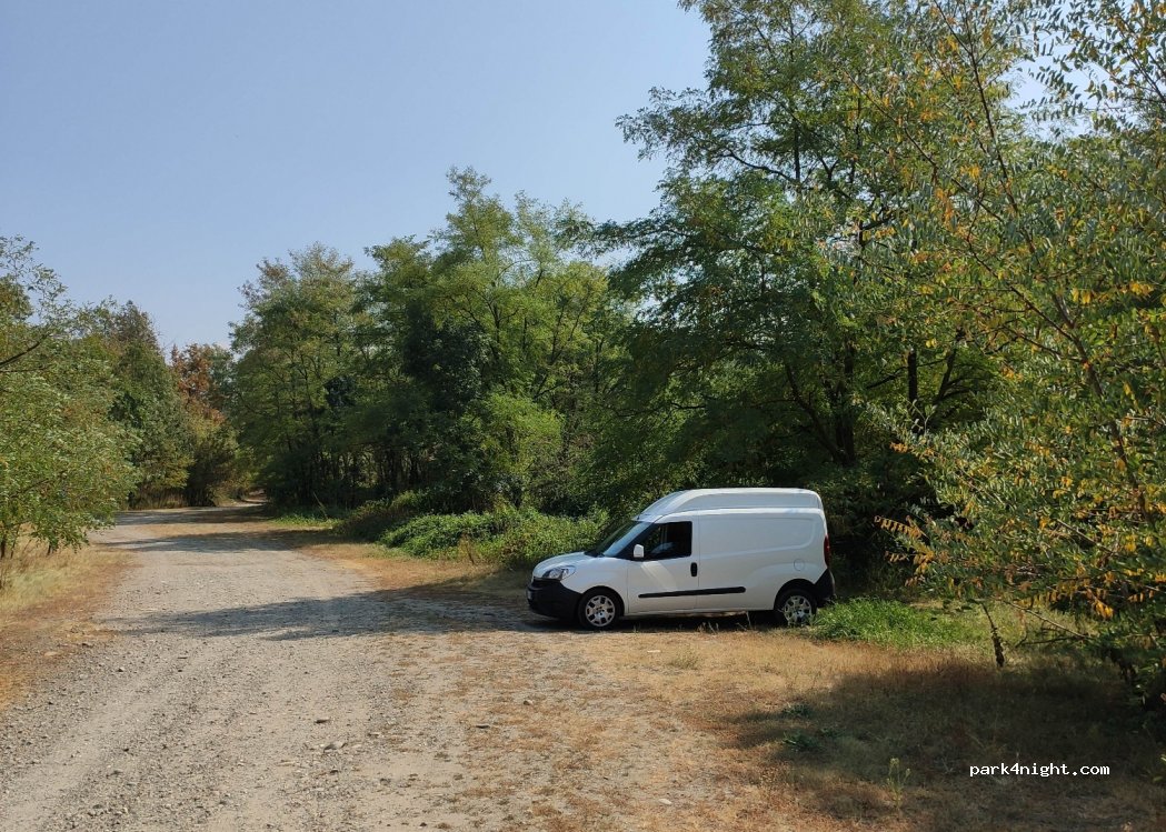 (13035) Lenta - Strada Provinciale 109 — foto