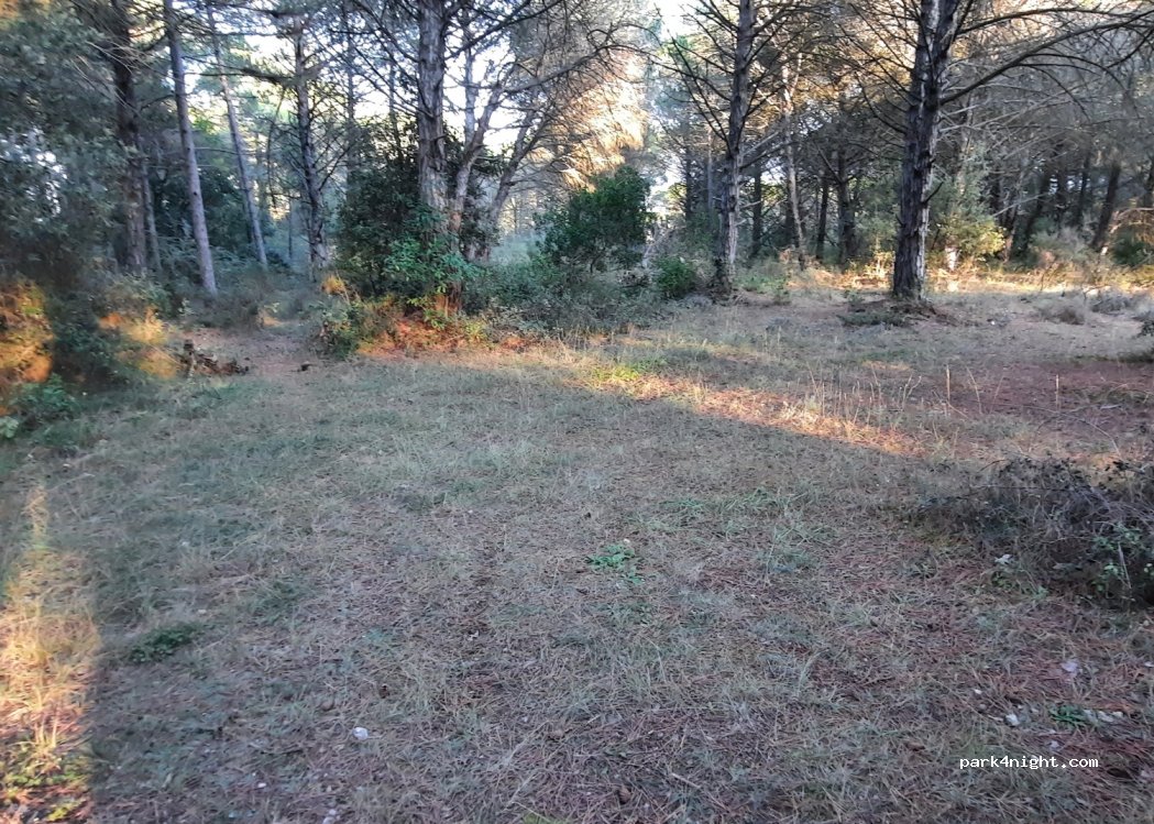 (11600) Villardonnel - D118 — foto 3