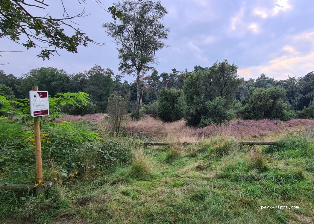 (7462) Rijssen - Brekeldlaan — foto